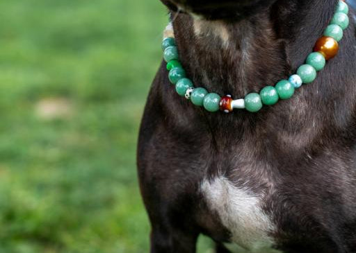 Collars