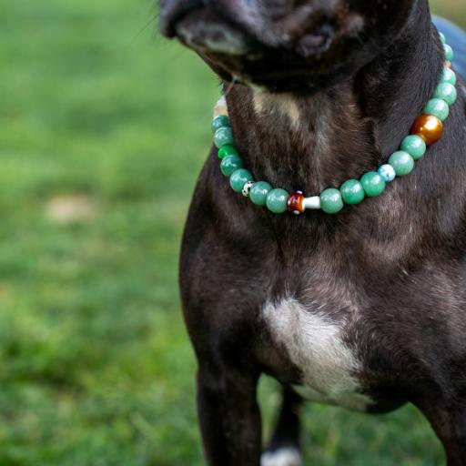 Collars