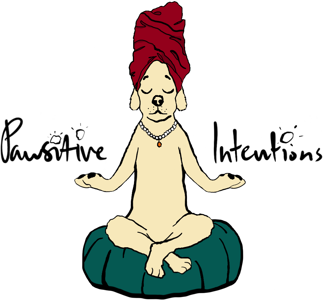 Pawsitive Intentions