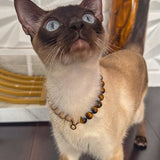 Cat wearing a necklace on a wooden floor with decorative elements in the background