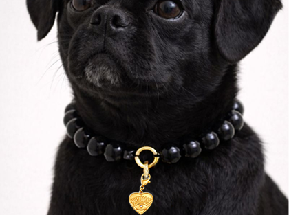 Black dog wearing a black beaded collar with a gold heart charm on a white background